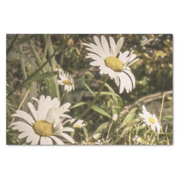 Dog Sympathy With Yellow Daisies Tissue Paper by Paws_At_Peace at Zazzle