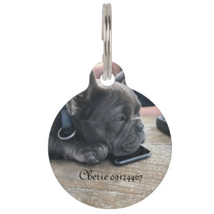 Dog tag