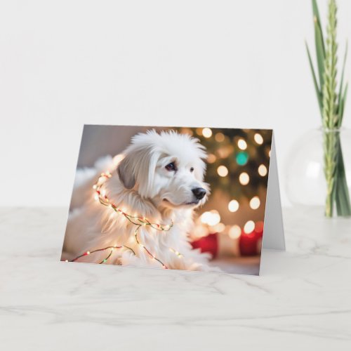 Dog Tangled In Holiday Lights