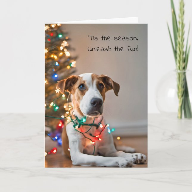 Dog Tangled In Holiday Lights Card (Front)