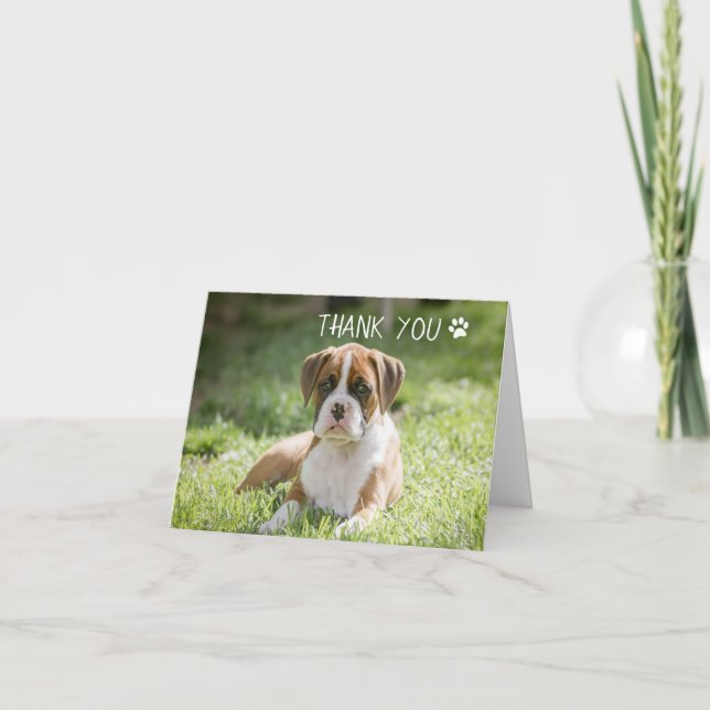 Dog Thank You Cards - Boxer Dog (Front)