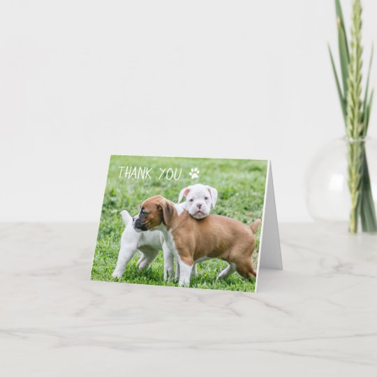 Dog Thank You Cards Boxer Dog Zazzle
