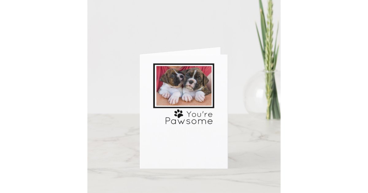 Pawesome Gift Ideas for Dog Lovers in Your Life!