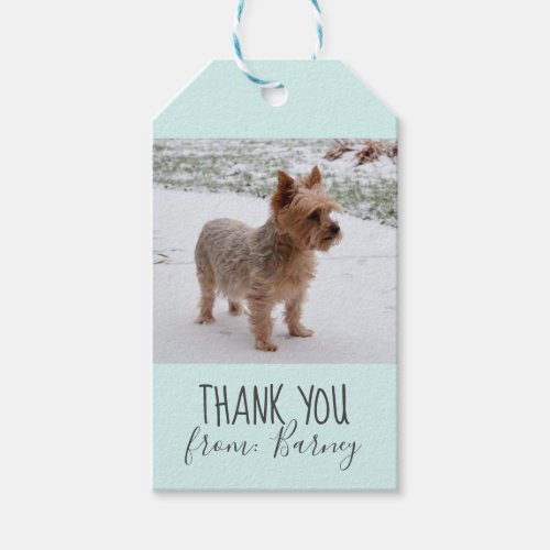 Dog Thank You Gift Photo Tags