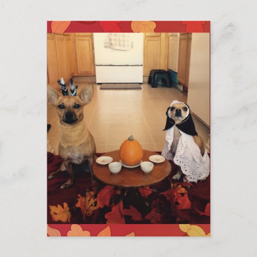 Dog Thanksgiving Holiday Postcard
