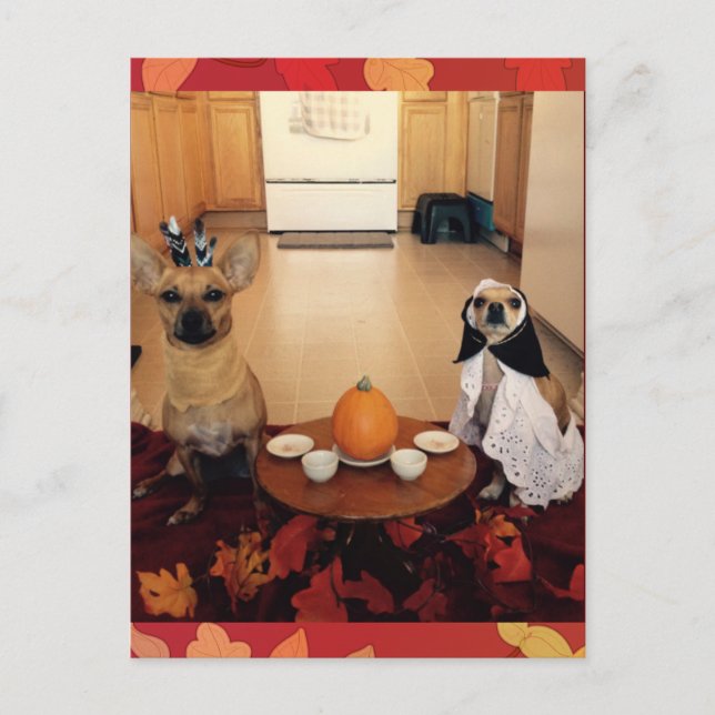 Dog Thanksgiving Holiday Postcard (Front)