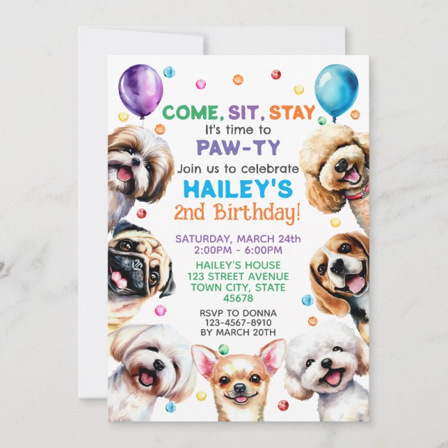 Dog Theme 2nd Birthday Party Invitation (Front)