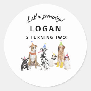 Dog Theme Let's Pawty Dog Birthday Party  Classic Round Sticker