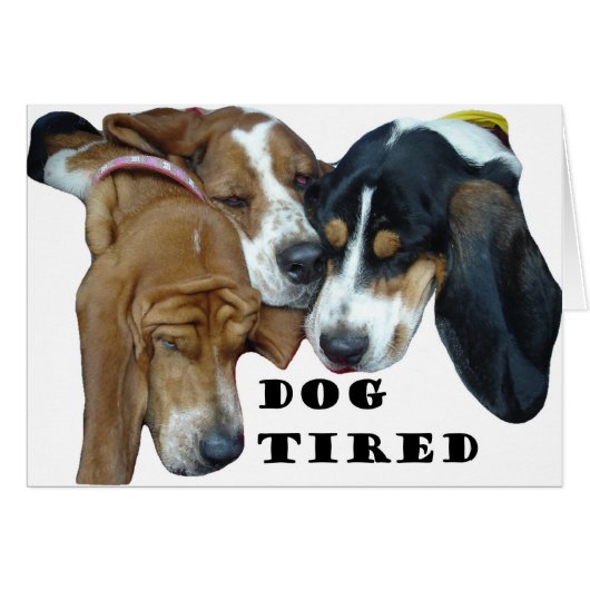 Dog Tired Cards (Front Horizontal)