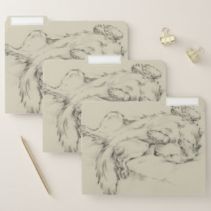 Dog Tired File Folder