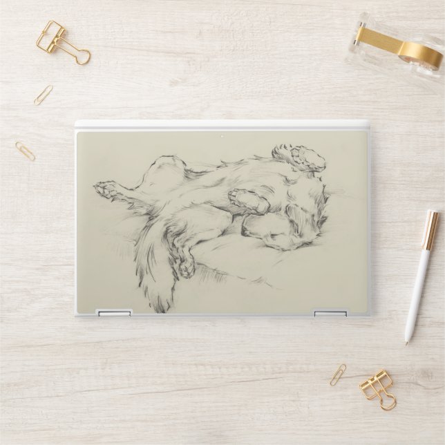 Dog Tired HP Laptop Skin (Desk)