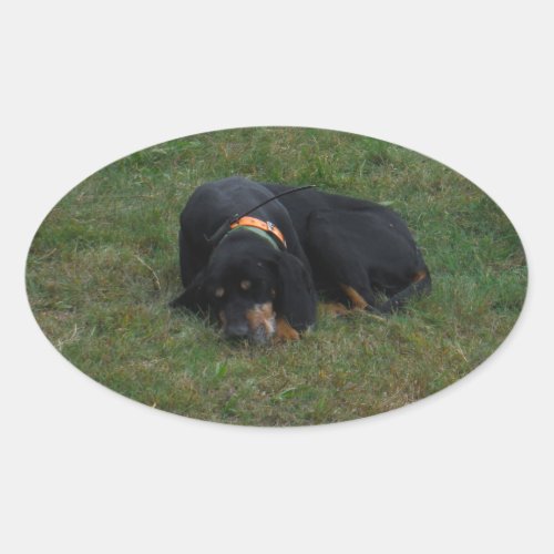 Dog Tired Oval Sticker