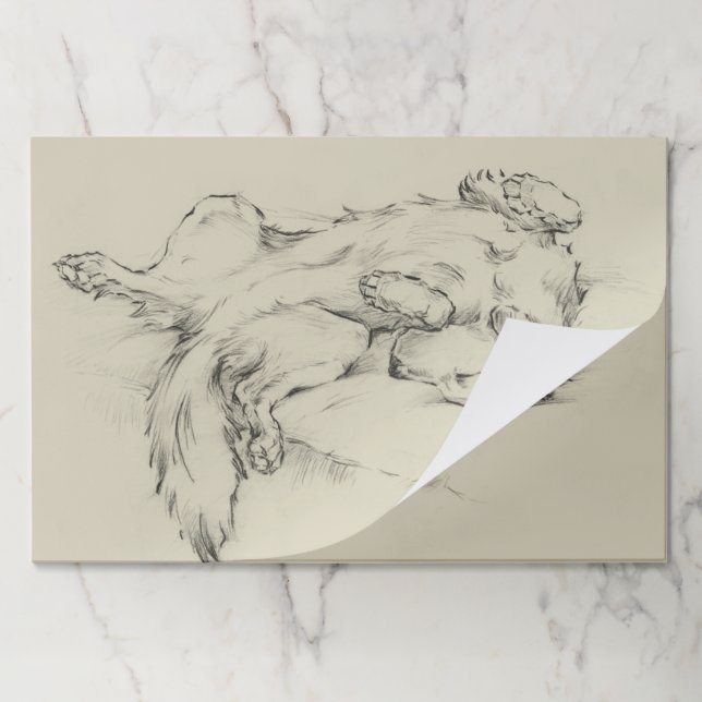 Dog Tired Paper Pad (Folded)