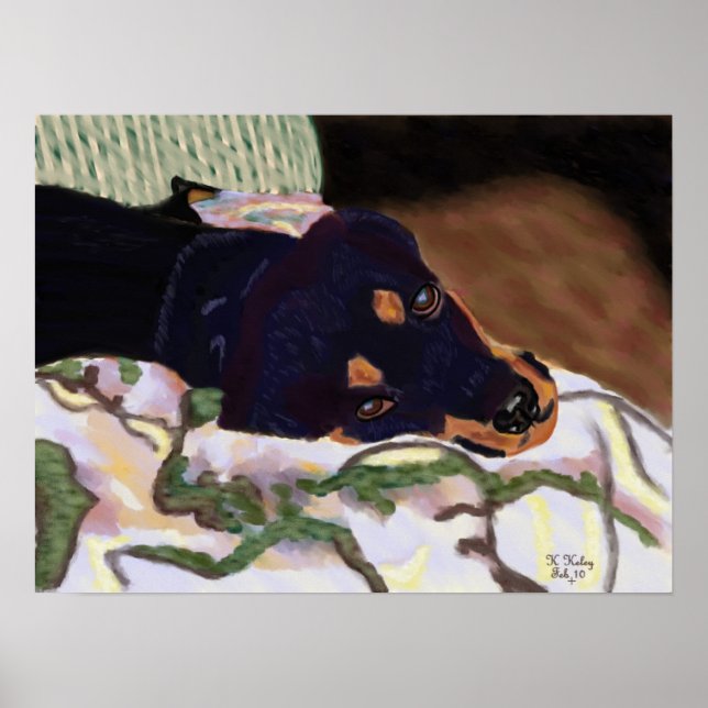 Dog Tired poster (Front)