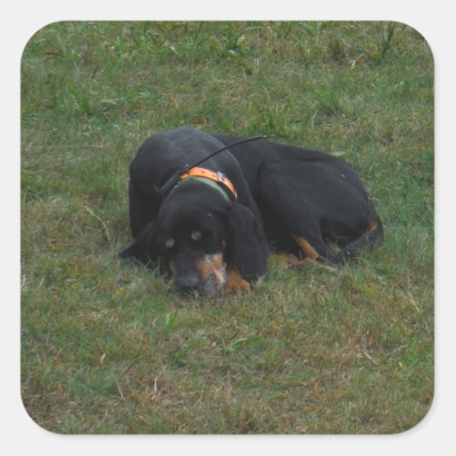 Dog Tired Square Sticker