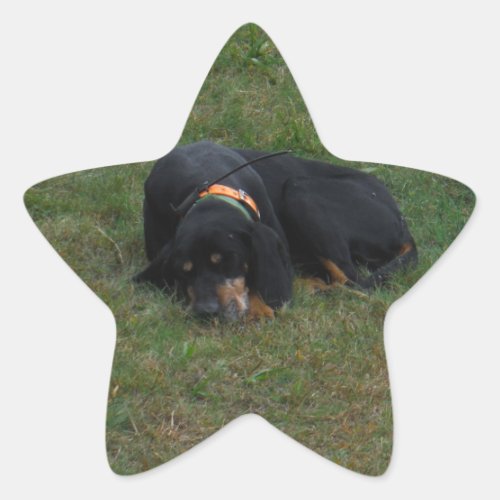 Dog Tired Star Sticker
