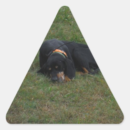 Dog Tired Triangle Sticker