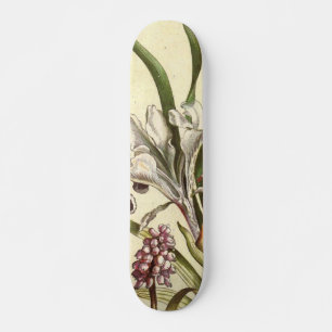 Dog Tooth Violet Skateboard Deck