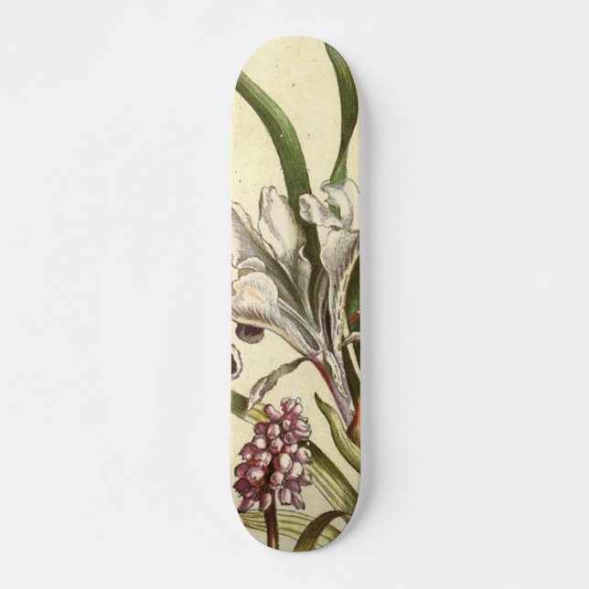 Dog Tooth Violet Skateboard Deck (Front)
