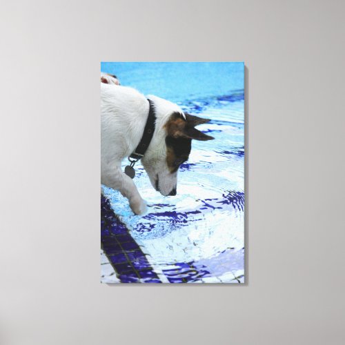 Dog touching water at the swimming pool canvas print