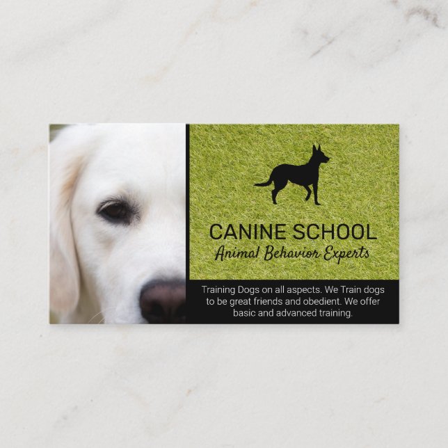 Dog Trainer | Animal Behavior Business Card (Front)