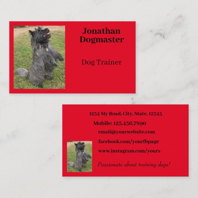Dog Trainer Bright Red Minimal Photo Business Card (Front/Back)