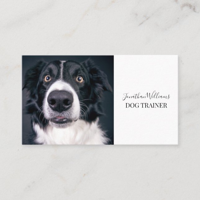 Dog Trainer Or Behaviorist Photo Business Card (Front)