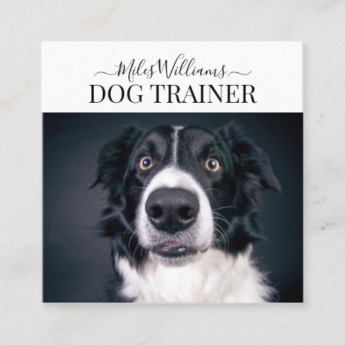 Dog Trainer Or Behaviorist Square Business Card