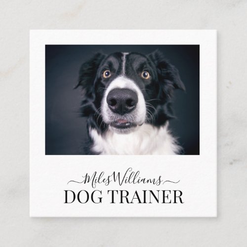 Dog Trainer Or Behaviorist Square Business Card