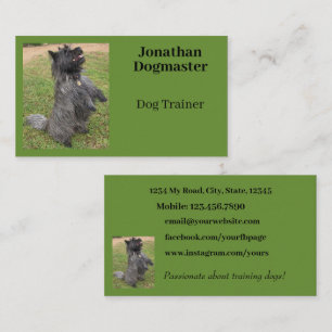 Dog Trainer Photo Green Background Minimal Business Card