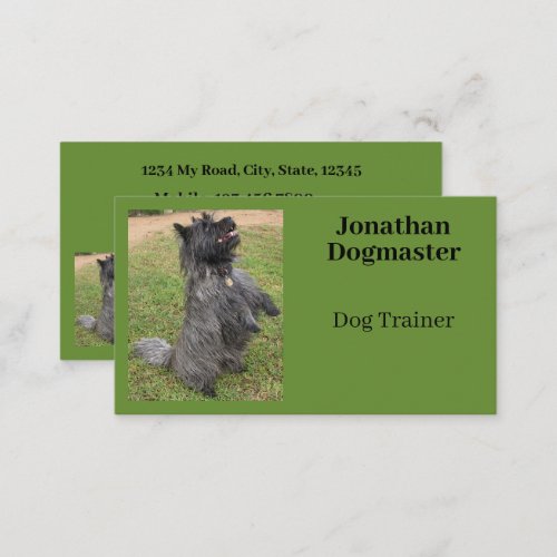 Dog Trainer Photo Green Background Minimal Business Card