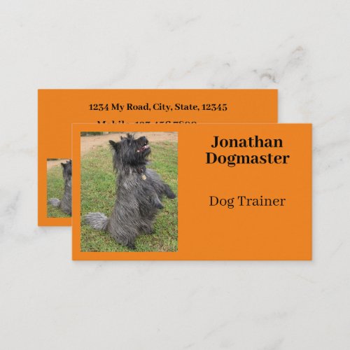 Dog Trainer Photo Orange Citrus Background Minimal Business Card