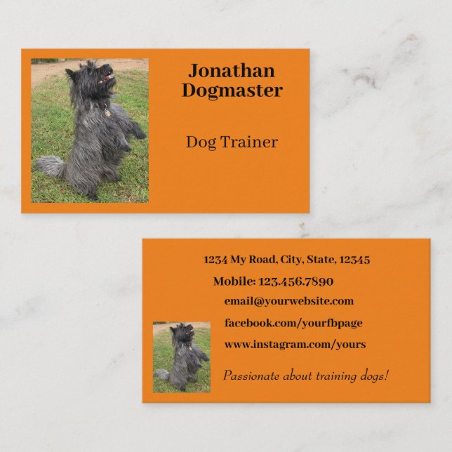 Dog Trainer Photo Orange Citrus Background Minimal Business Card (Front/Back)