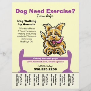 Dog Trainer Training Active Terrier Tear Sheet