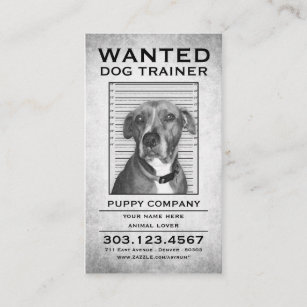 dog trainer wanted poster business card
