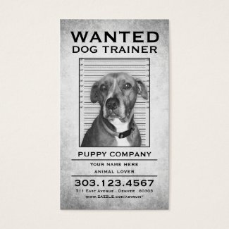 dog trainer wanted poster business card