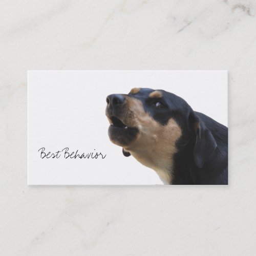 Dog training behavior specialist business card