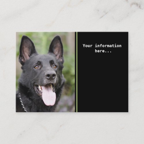 Dog training business card