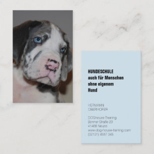 Dog Training Business Cards