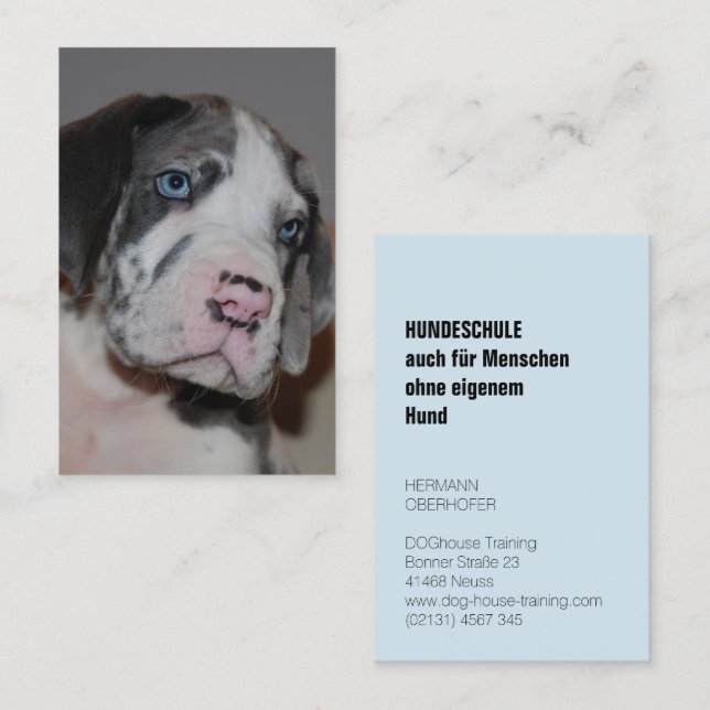Dog Training Business Cards (Front/Back)