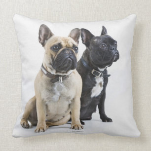 Dog training & obedience throw pillow