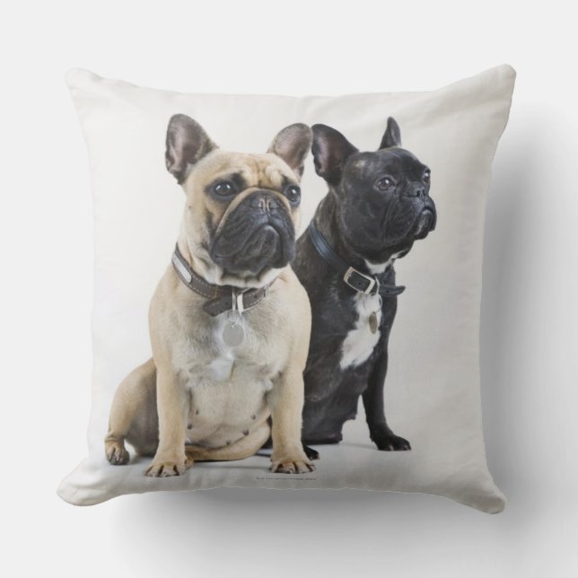 Dog training & obedience throw pillow (Front)