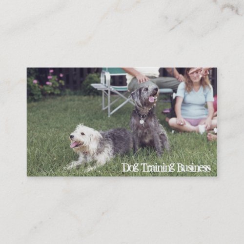 Dog Training Obedience Trainer Doggy Day Care Business Card