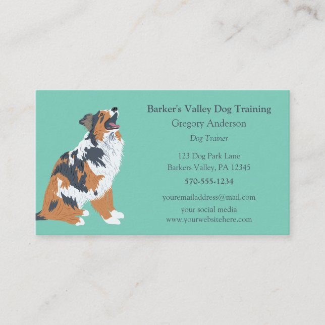 Dog Training, Pet Sitting Australian Shepherd Business Card (Front)