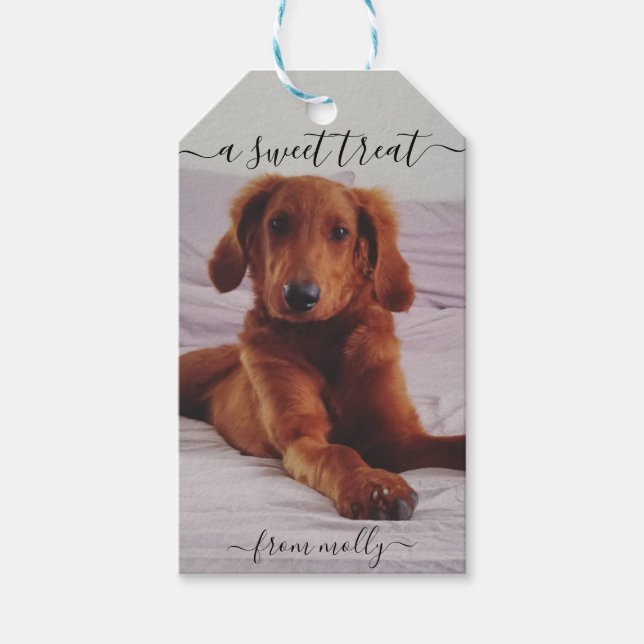 Dog Treat Tag (Front)