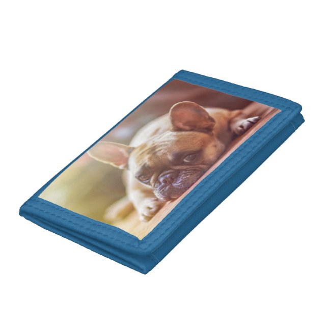 dog tri-fold wallet (Bottom)