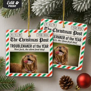 Dog Troublemaker Of The Year Christmas Newspaper Ceramic Ornament