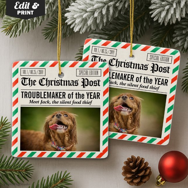 Dog Troublemaker Of The Year Christmas Newspaper Ceramic Ornament (Dog Troublemaker Of The Year Christmas Newspaper Ceramic Ornament)