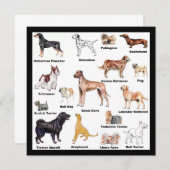 Dog Types (Front/Back)