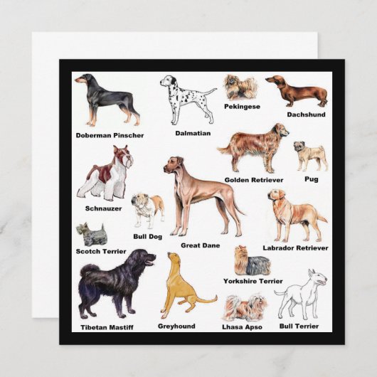 Dog Types (Front/Back)